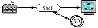 La shell